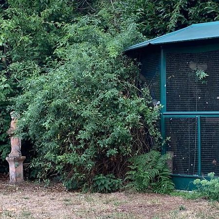 Maisonnette En Clairiere De Foret Gambais Экстерьер фото