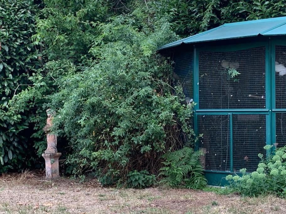 Maisonnette En Clairiere De Foret Gambais Экстерьер фото
