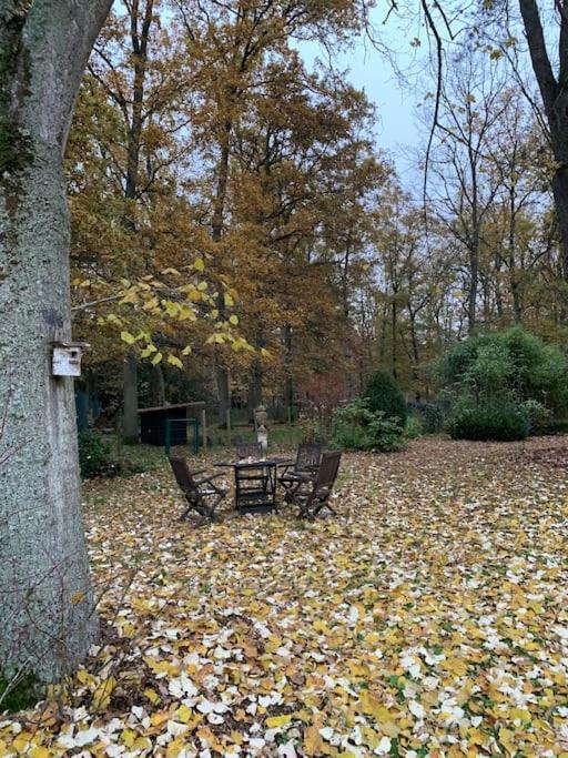 Maisonnette En Clairiere De Foret Gambais Экстерьер фото