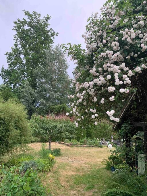 Maisonnette En Clairiere De Foret Gambais Экстерьер фото