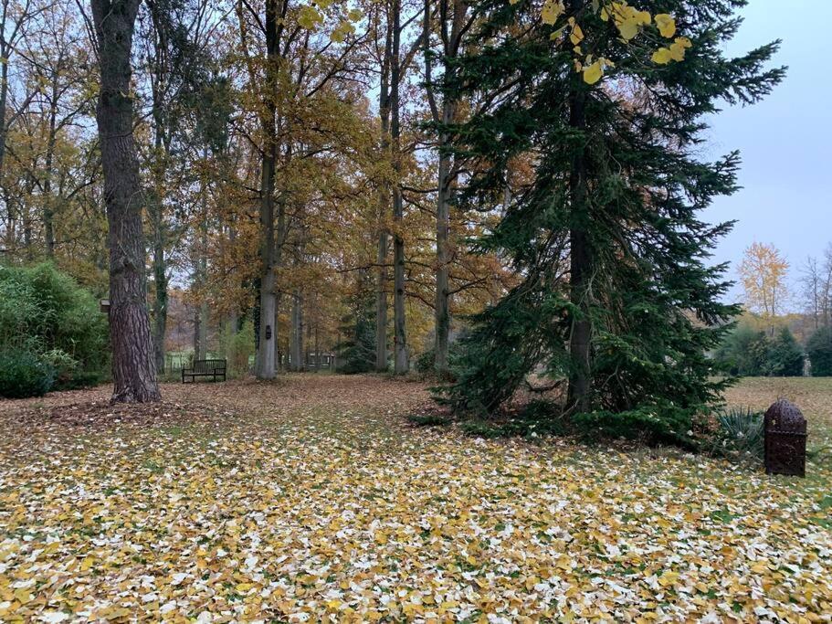 Maisonnette En Clairiere De Foret Gambais Экстерьер фото