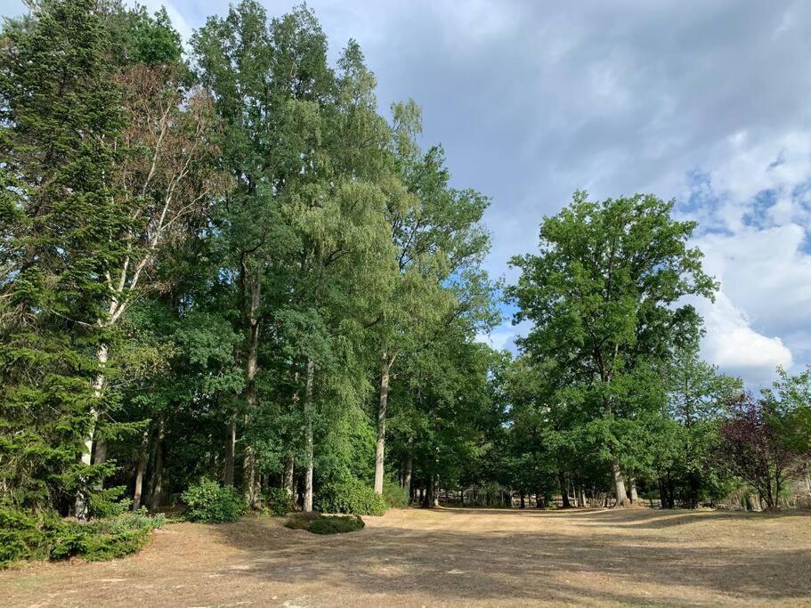 Maisonnette En Clairiere De Foret Gambais Экстерьер фото